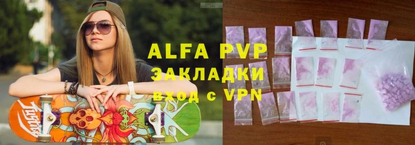 дмт Инта