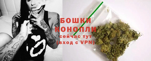 дмт Инта