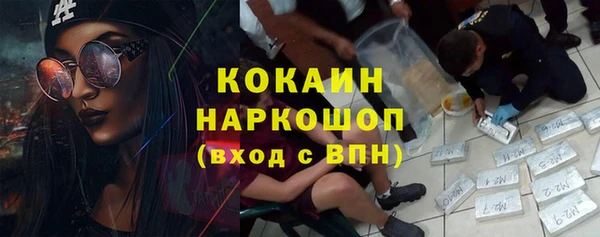 дмт Инта