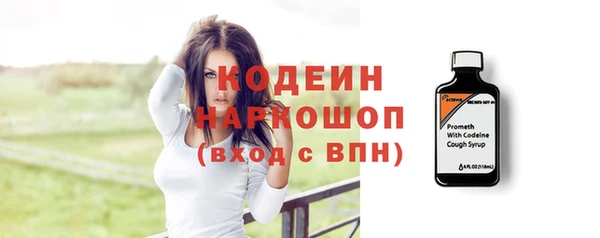 дмт Инта