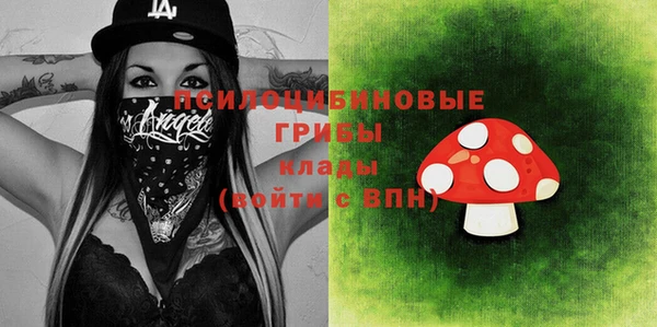 дмт Инта
