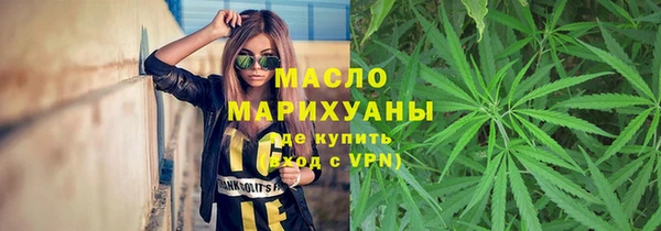дмт Инта