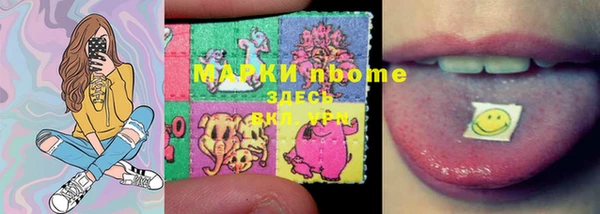 дмт Инта