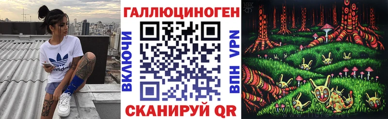 Купить где Костомукша Псилоцибиновые грибы GOLDEN TEACHER