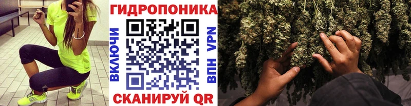 Каннабис LSD WEED  Купить где  Костомукша 